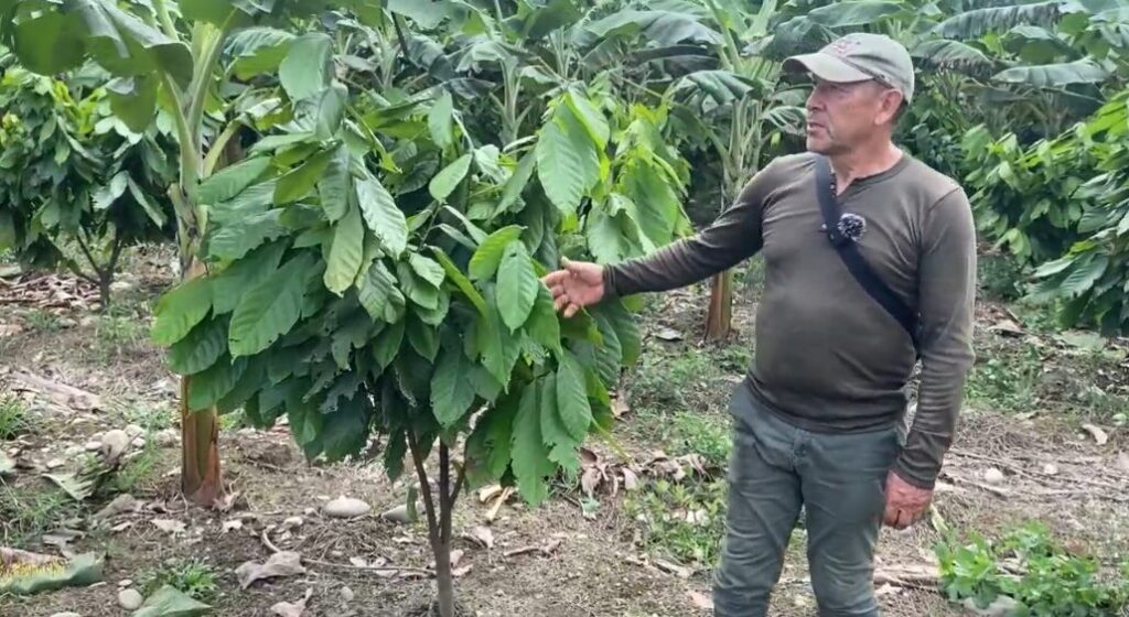 Farmer Jaime Tejada Saenz on his farm in Colombia.